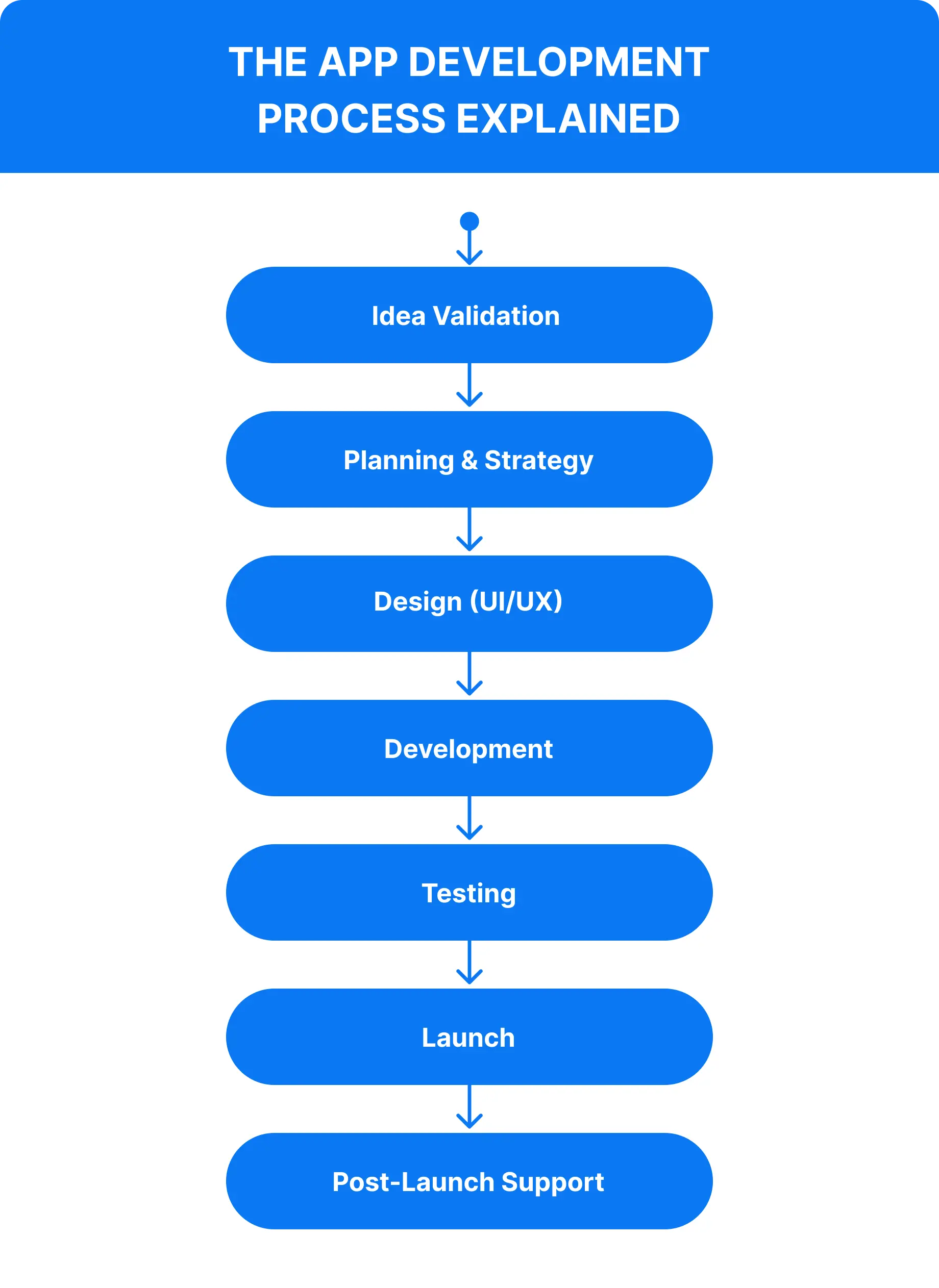 The App Development Process Explained