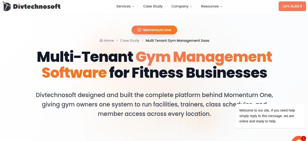 Divtechnosoft landing page